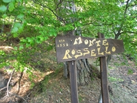 Monte Rossello